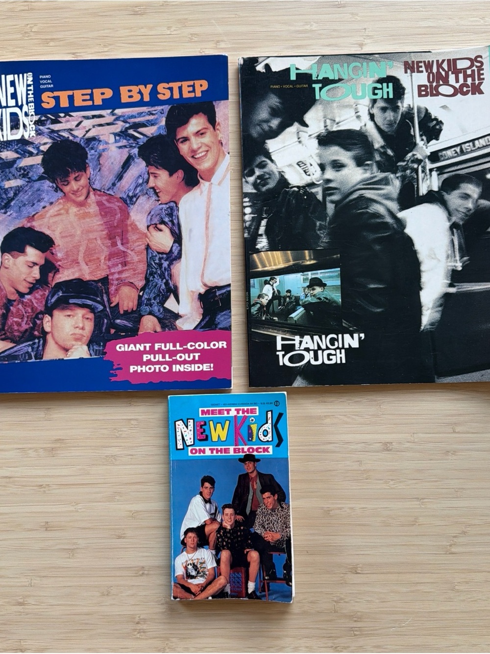 New Kids on the Block - Piano, Vocal, Guitar, Fan Books